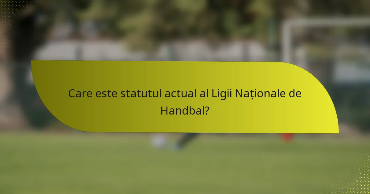 Care este statutul actual al Ligii Naționale de Handbal?