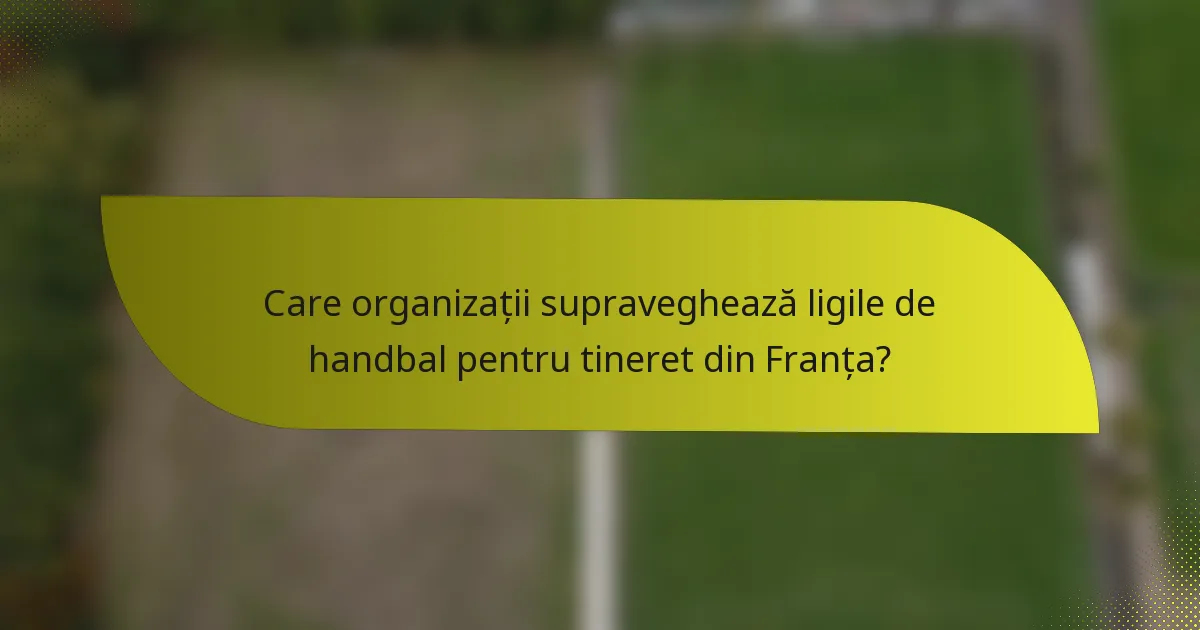 Care organizații supraveghează ligile de handbal pentru tineret din Franța?