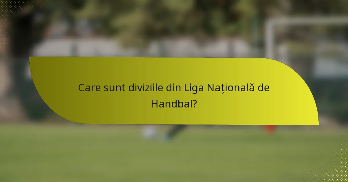 Care sunt diviziile din Liga Națională de Handbal?