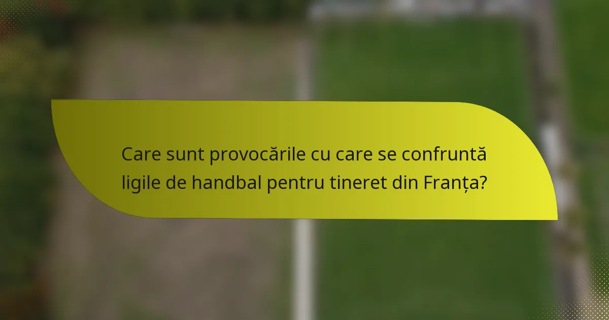 Care sunt provocările cu care se confruntă ligile de handbal pentru tineret din Franța?