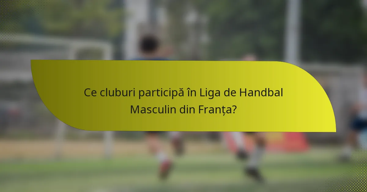 Ce cluburi participă în Liga de Handbal Masculin din Franța?