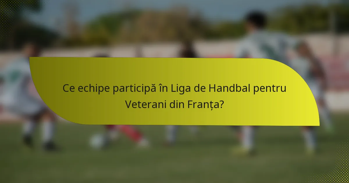 Ce echipe participă în Liga de Handbal pentru Veterani din Franța?