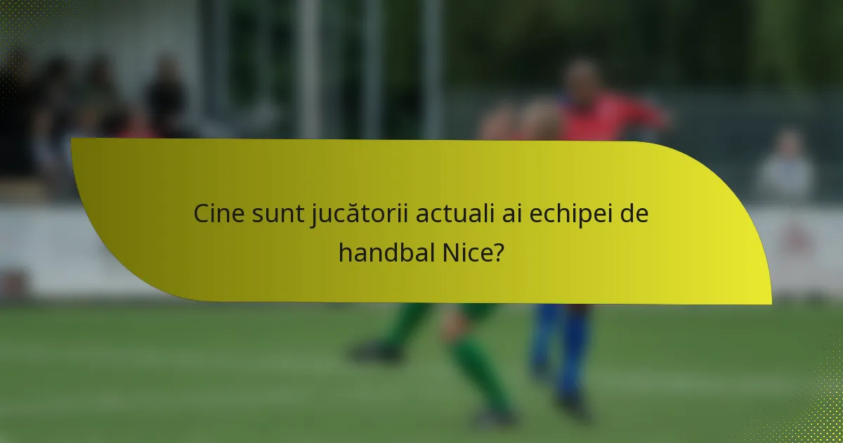 Cine sunt jucătorii actuali ai echipei de handbal Nice?