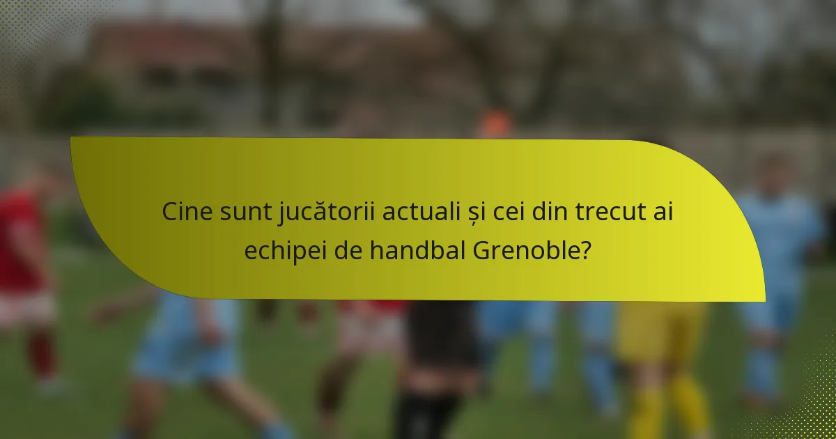 Cine sunt jucătorii actuali și cei din trecut ai echipei de handbal Grenoble?
