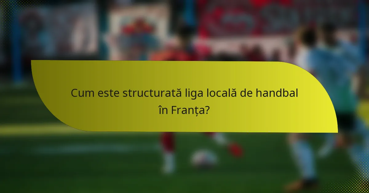 Cum este structurată liga locală de handbal în Franța?