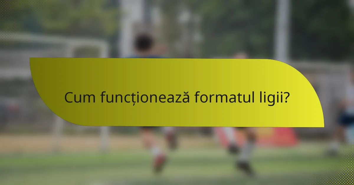 Cum funcționează formatul ligii?