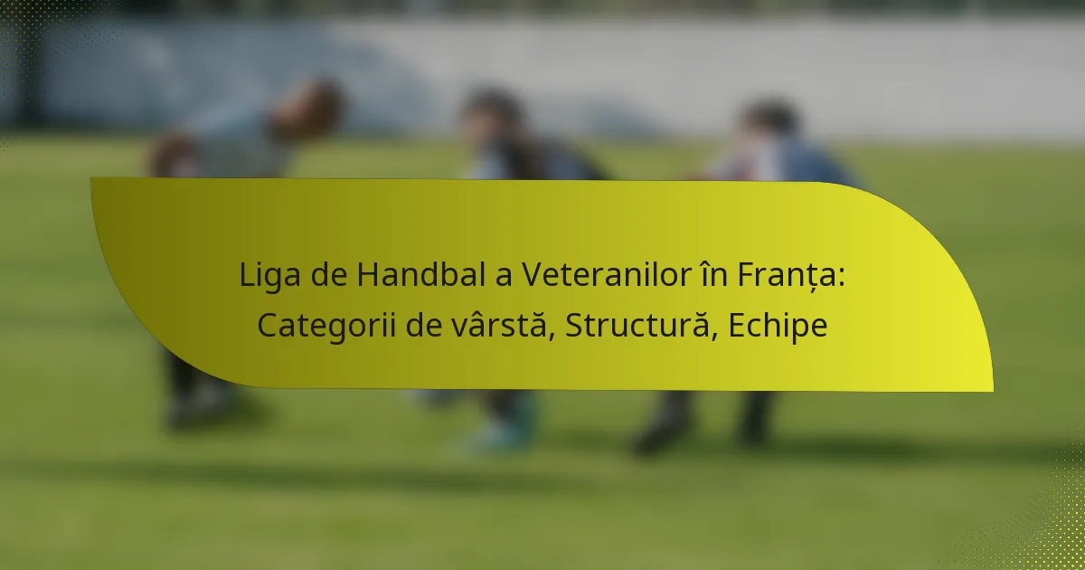 Liga de Handbal a Veteranilor în Franța: Categorii de vârstă, Structură, Echipe