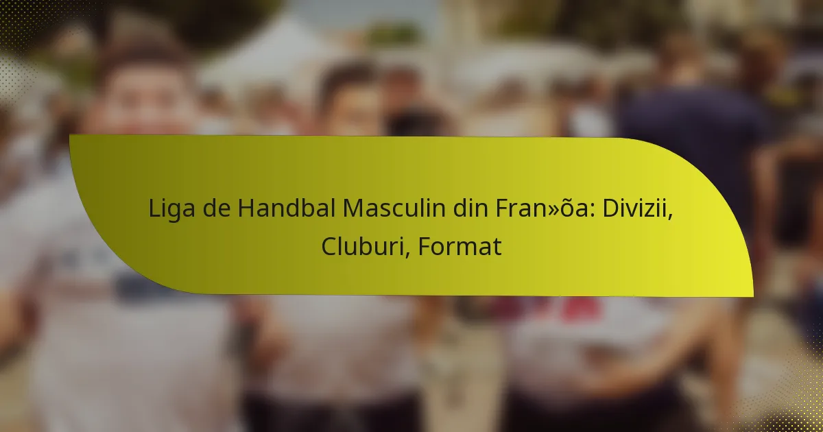 Liga de Handbal Masculin din Franța: Divizii, Cluburi, Format