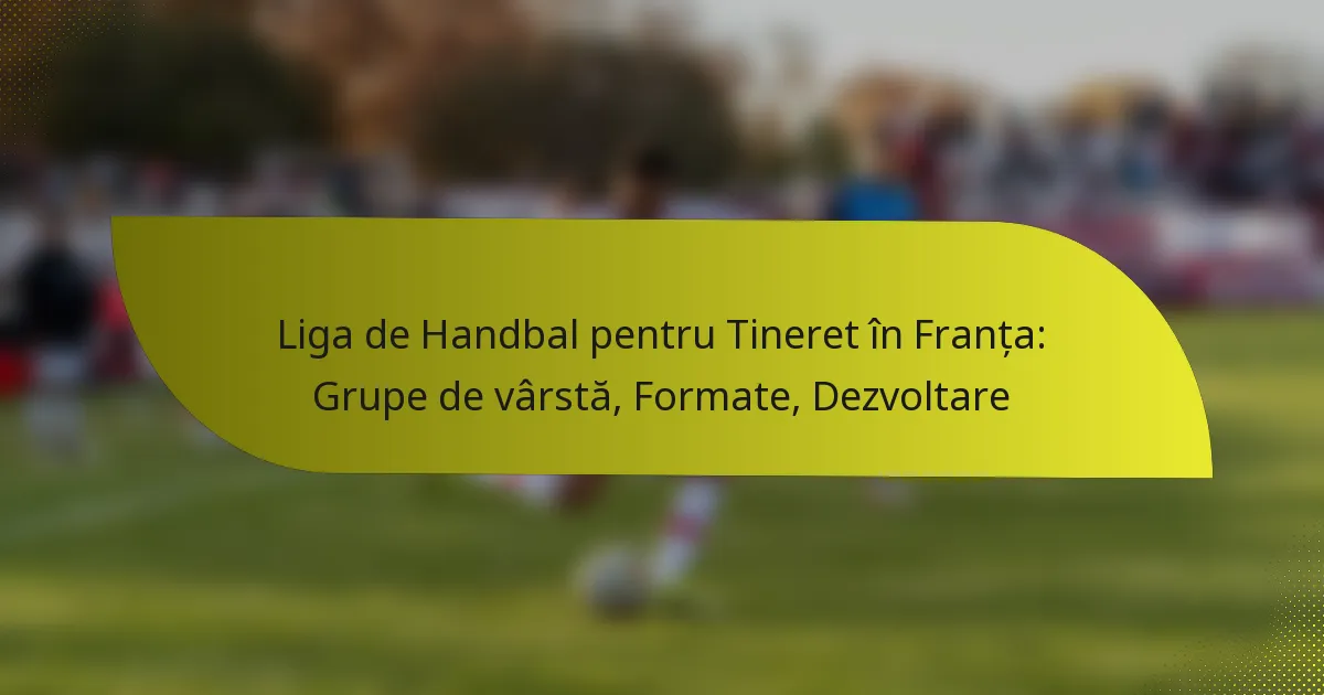 Liga de Handbal pentru Tineret în Franța: Grupe de vârstă, Formate, Dezvoltare