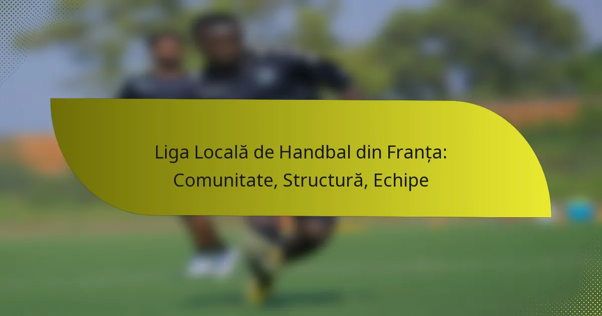 Liga Locală de Handbal din Franța: Comunitate, Structură, Echipe