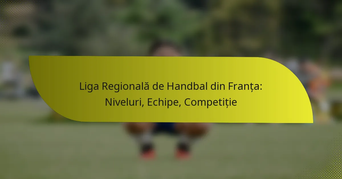 Liga Regională de Handbal din Franța: Niveluri, Echipe, Competiție